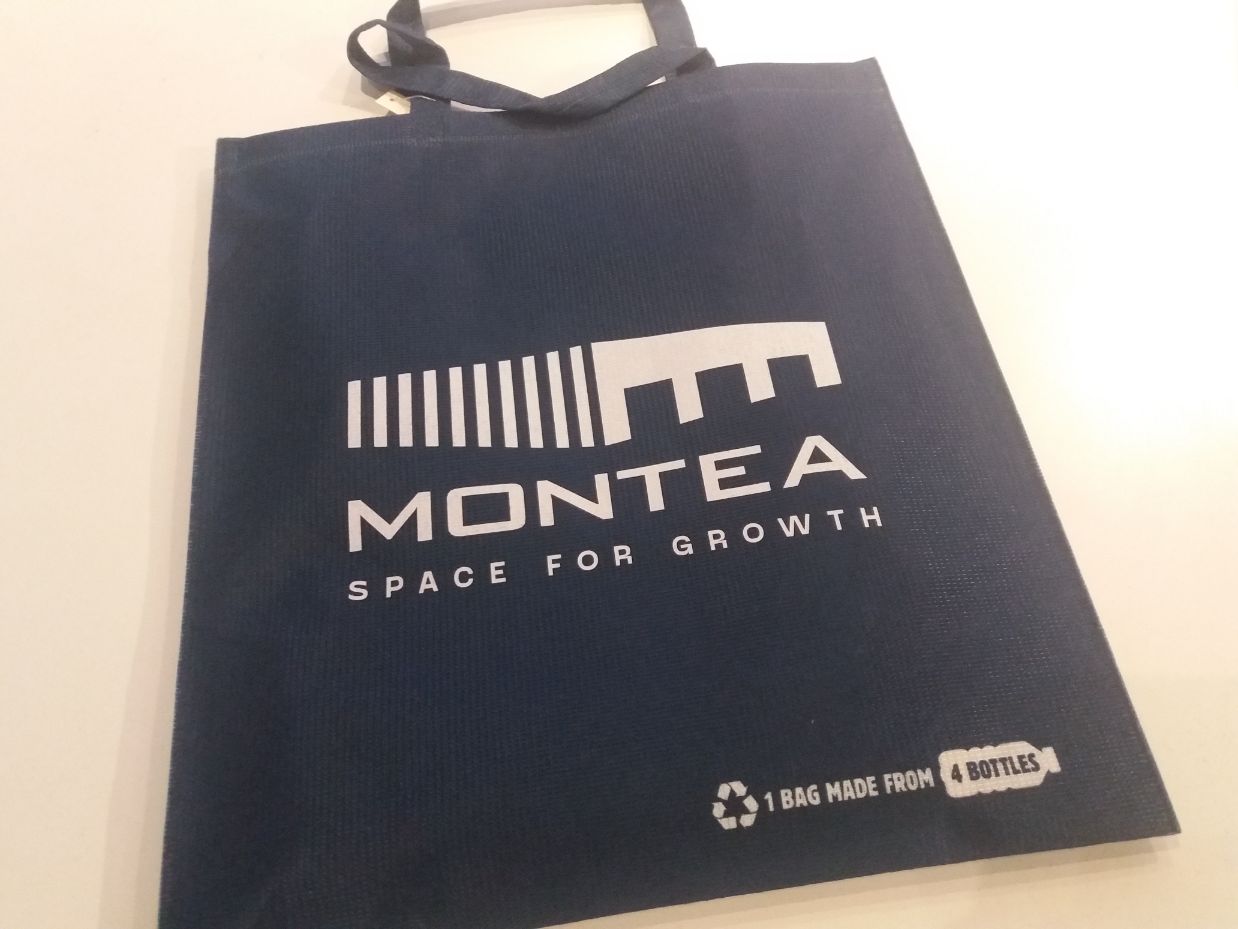 Montea